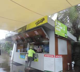 Hier gibt es die Fotos