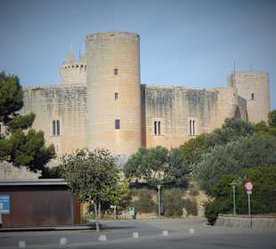 Castell Belvedere