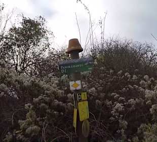 Wanderstrecke Panoramaweg D1