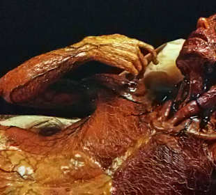 Florentiner Werkstatt um 1780 