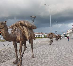 Stadtrundgang Evrenseki
