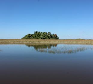 Everglades