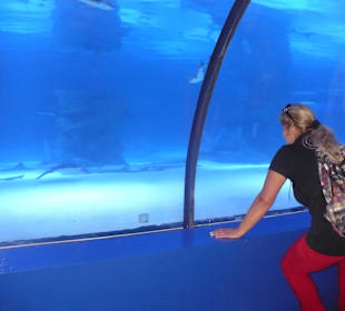 Röhren Aquarium Antalya 