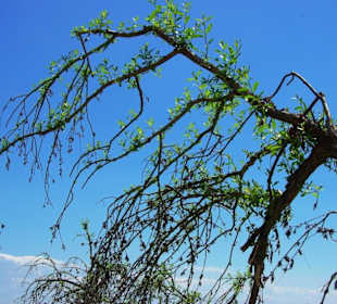 Anfang Naturschutzgebiet