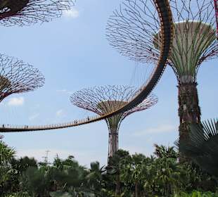 Gardens by the Bay