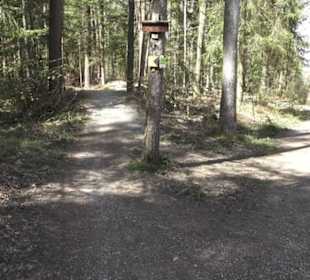 Waldsportpfad im Wasenwald