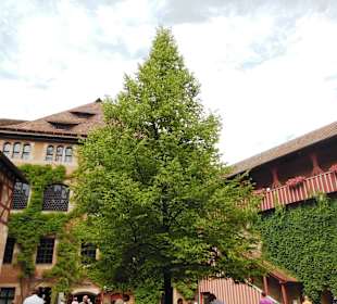 Kaiserburg - ein Muss