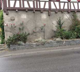 Winkelhakenhof von 1617