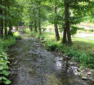 Wege am Fluss im Kurpark