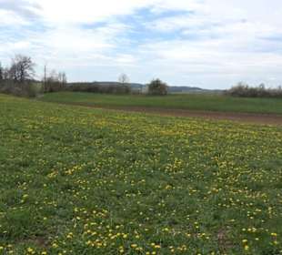 Heckenerlebnispfad Apfelstetten