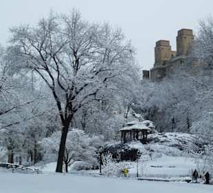 Verschneiter Central Park