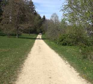 Arboretum