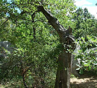 Klettergebiet Mazet-Plage