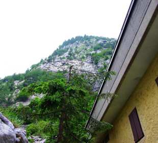 Der Plöckenpass 06-2011