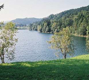 Hintersee