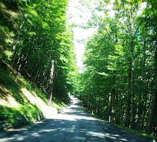 Alte defekte Strasse Plöcken
