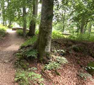Burg Alt-Lichtenstein