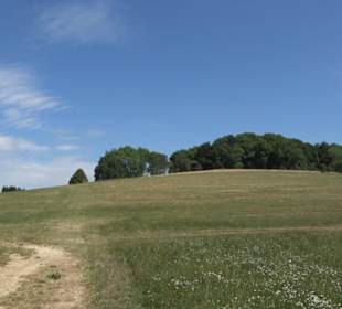Tour entlang der Traifelbergfelsen