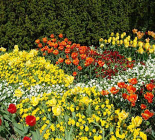 Осторов майнау