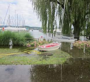 Insel Reichenau Hochwasser