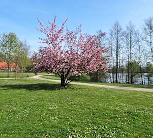 Impressionen vom Weg um den Hasportsee