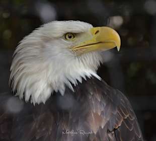 Ein Ami auf den Kanaren