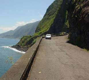 Unsere tapfere Bergziege