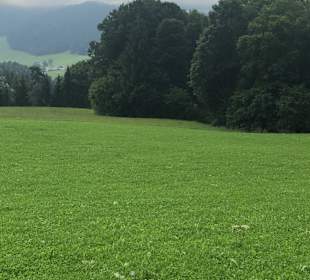 Wandern Berchtesgaden