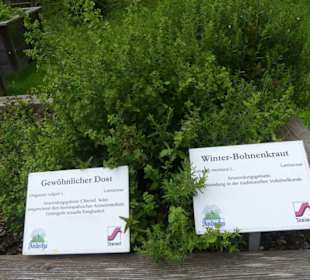 Kräutergarten