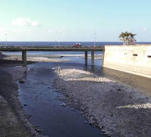 Kann mir schon vorstellen 