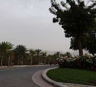 Bepflanzter Parkplatz