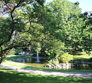Idyllischer Vogelteich mit Springbrunnen