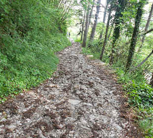 Wanderweg beim Kloster Madonna di Castello