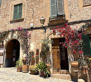 Eingänge mit Blumen gesäumt