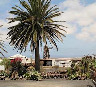 Museo Agricola el Patio