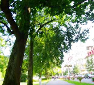 Gegenüber der Promenade