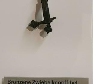 Ap15- Museum 1. Stock Zwiebelknopffibel