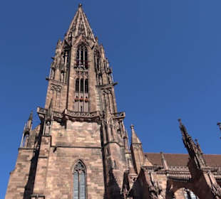 Freiburger Münster