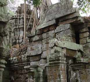 Ta Prohm Tempel
