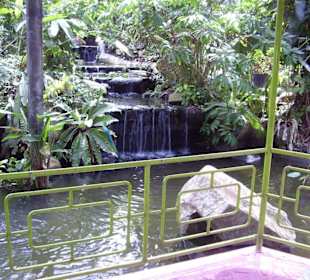 Auf der Schmetterlingsfarm