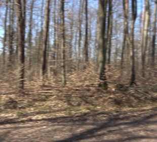 Geschichtlicher Lehrpfad Einsiedel