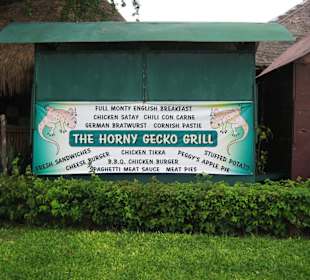 The Horny Gecko Grill