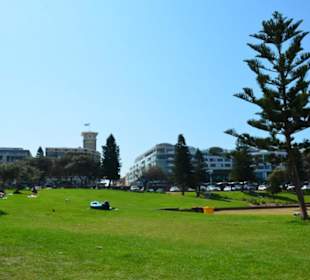 Bondi Beach 