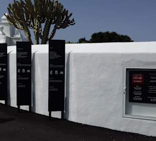 Fundacion Cesar Manrique in Tahiche