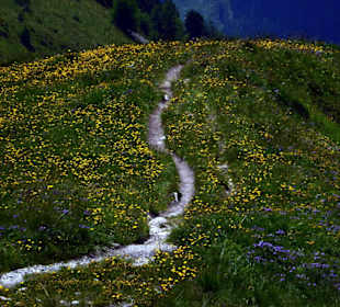 Seespitzhütte
