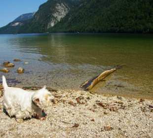 Herrliches Ufergebiet