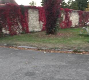 Geistliches Zentrum Kloster Heiligkreuztal Altheim