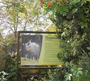 Zoo