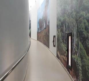 Rampe in den ersten Stock