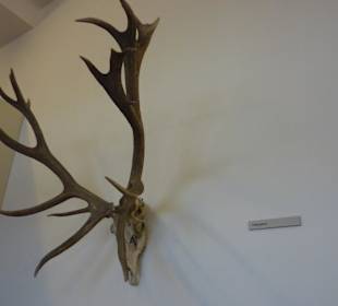 Národní zemědělské muzeum